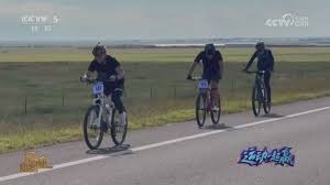 每天可免费开2卡包！《宝可梦TCG Pocket》PV